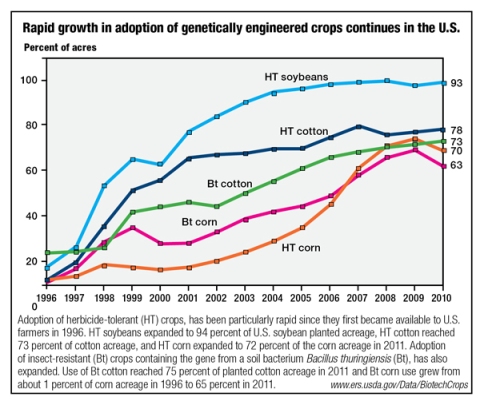 In the US genetic modification has become standard for corporate farms